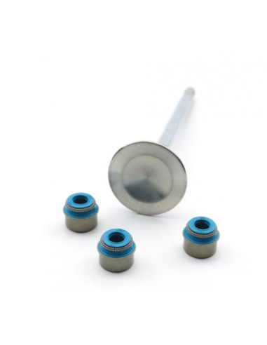 High Performance Reinforced Valve Stem Seals For Tfsi Ea