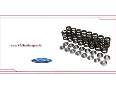 Audi RS4 B7 4.2 v8 kit ressorts et coupelles de soupapes supertech