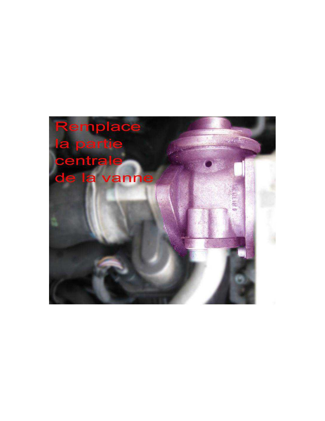 EGR valve removal kit for VAG 1.2 TDI 1.9 TDI engine (common rai