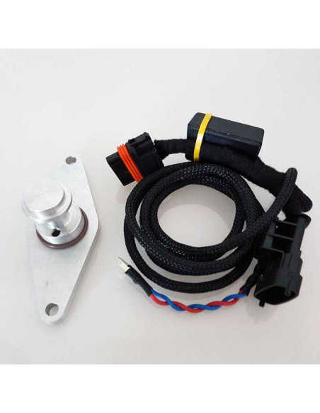 Pneumatic EGR valve removal cap kit for OPEL ASTRA IV