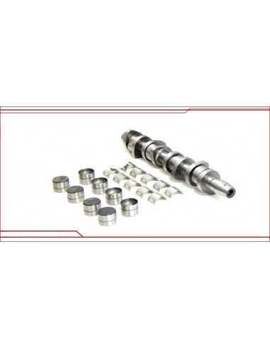 Kt camshaft repair ORIGIN 1.9 TDI IP 105cv 115cv 130cv 150cv 160cv ATD AXR BEW BRM AJM AUY ASZ ARL