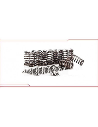 BMW M50 S50 M52 M54 Supertech TITANIUM 24V 2.8L 3.0L 3.2L 3.2L M3 Valve Cups and Springs Kit
