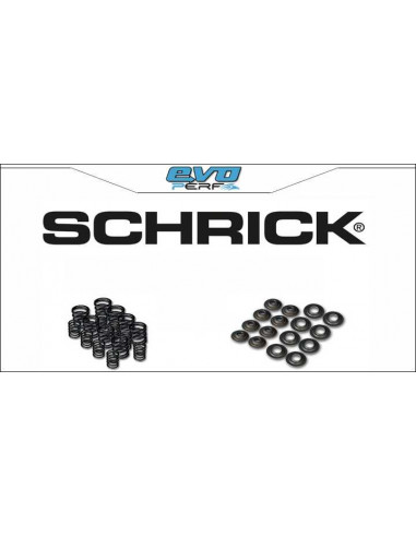 Kit SCHRICK springs golf 1 gti 1.6 EG