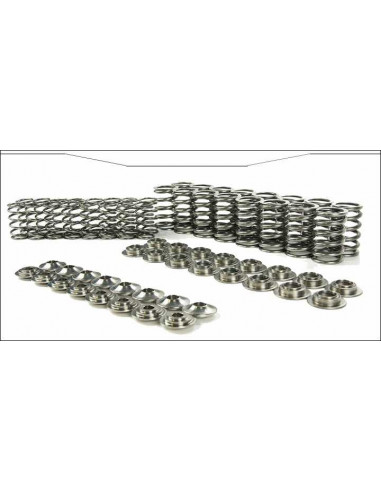 Supertech Golf 4 Golf 5 R32 springs and valve cups