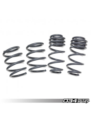 Kit de 4 muelles cortos Dynamic+ 034Motorsport para Audi TTS TTRS 8S 2.5 TFSI