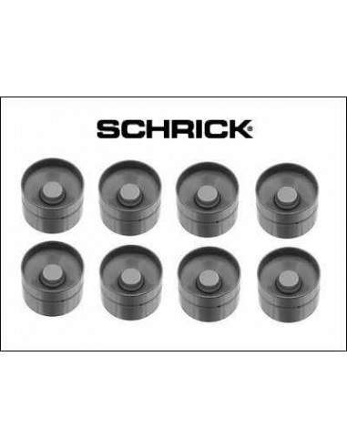 elevadores de válvulas hidráulicos reforzados Schrick Golf 1 GTI 1.8L