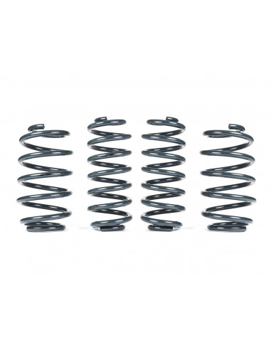 Sport RacingLine short springs kit VOLKSWAGEN Golf 8 R 2.0 TSI 320cv EA888 gen4 MQB compatible DCC with tailgate only