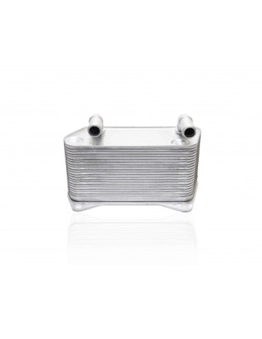 Upgrade DSG gearbox oil cooler DQ250 6 speed large volume 20 rows Golf 7 GTI R A3 S3 8p 8V Leon 3 Cupra