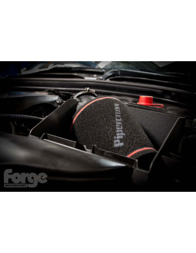Kit de admisión directa de carbono FORGE Motorsport para MINI Cooper F56 y BMW F20 F21 F40 3 y 5 puertas con portón delantero 20