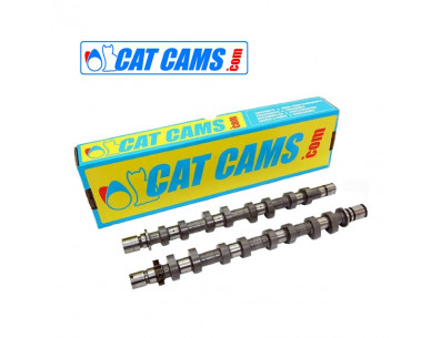 Arbre à cames CAT CAMS pour VOLKSWAGEN 3.2L 24v code moteur BUB