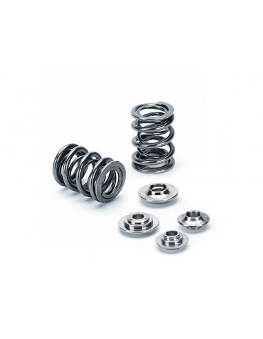 Supertech Opel Calibra Vectral Astra C20XE C20LET springs and valve cups kit