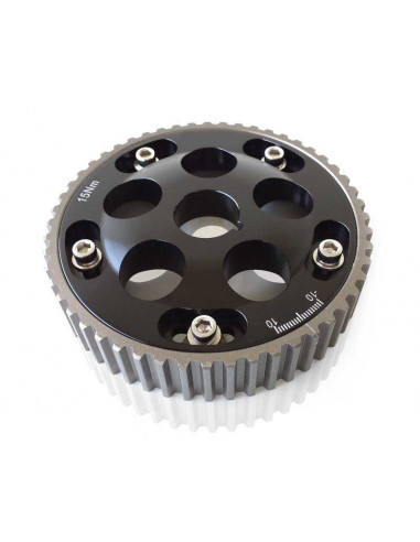 Adjustable camshaft pulley for 2.0 TFSI engine