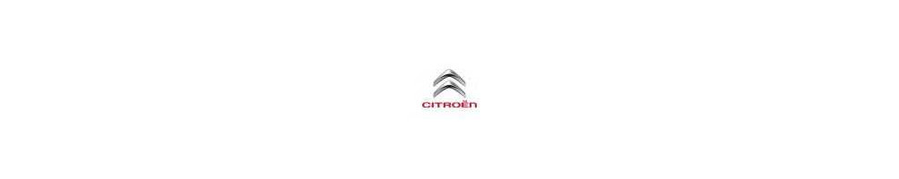 Collecteur Échappement pour Citroën pas cher en inox, numéro 1 livraison internationale !!!