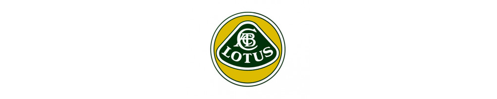 Lotus - limited slip differential