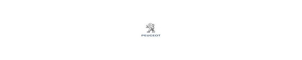 Peugeot- Autobloquant