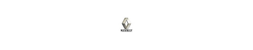 Renault - Autobloquant