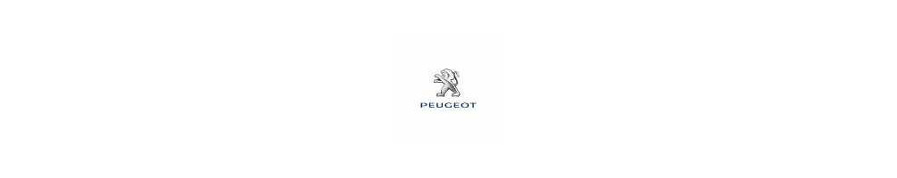 Válvula de descarga - Peugeot