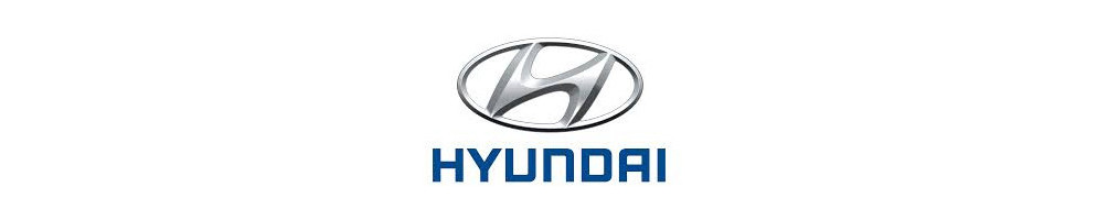 WASTEG ATE Hyundai barato - Entrega internacional dom tom número 1 En Francia y en la red !!!