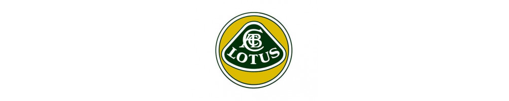 Radiador de agua de aluminio para LOTUS barato para su coche aquí - Entrega internacional dom tom número 1 en Francia