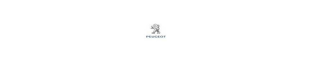 Mangueras de silicona y kit de manguera de refrigeración de silicona específico para PEUGEOT 207 - Entrega internacional dom tom