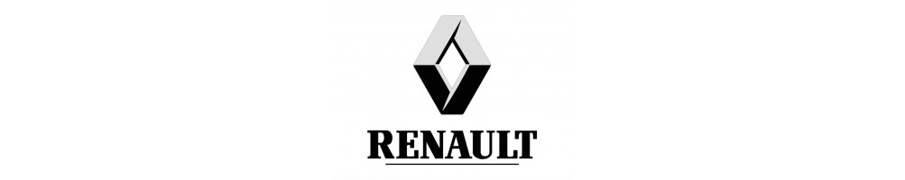 Direct intake kit for RENAULT Megane - Forge Motorsport Green BMC Mishimoto CTS Turbo Sparco JR K&N Pipercross