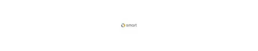 Mangueras de silicona y kit de mangueras de silicona Turbo específicos para SMART - Entrega internacional dom tom número 1