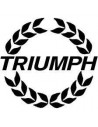 TRIUMPH - Espárragos y tornillos de cojinetes de cigüeñal reforzados ARP