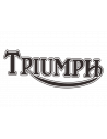 TRIUMPH TR6 1969-1976