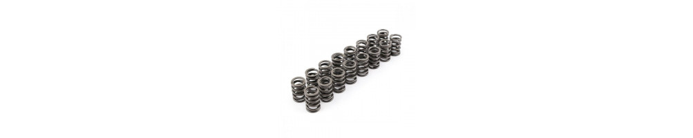 STR Performance reinforced springs and valve cups