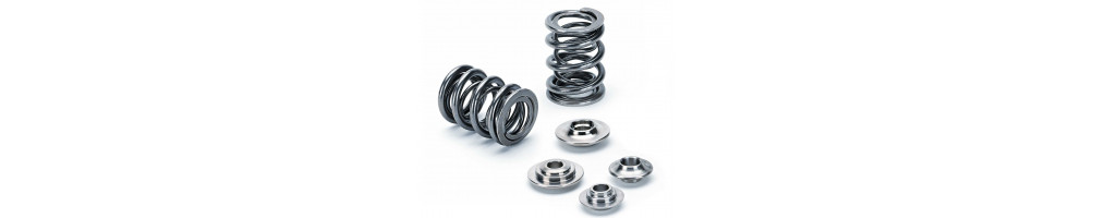 AUDI - Reinforced cups and springs