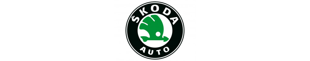 Kit admission direct pour Skoda Rapid - Forge Motorsport Green BMC Mishimoto CTS Turbo Sparco JR K&N Pipercross