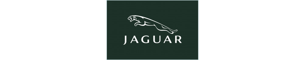 Joint de culasse renforcé pour Jaguar V12 Cometic