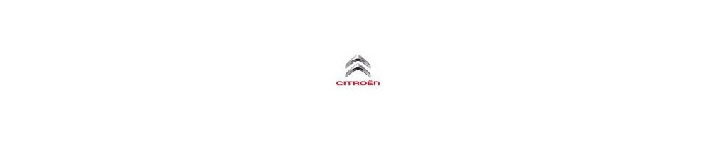 ARP para CITROEN - Custom Age ARP 2000 ARP 8740 L19 4340
