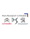 PEUGEOT CITROEN PSA