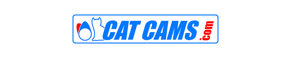 CATCAMS - camshaft