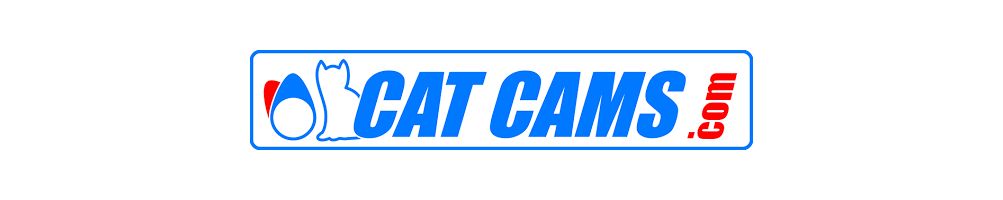Find our wide range of Cat Cams accessories. Here you will find everything you need to maintain your parts to allow them to have a long lifespan.