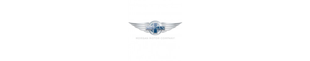 MORGAN - limited slip differential