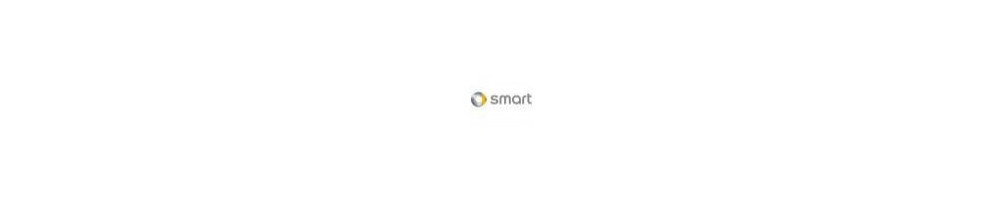 Amortiguadores roscados SMART suspensión ST baratos - ¡Compra/Venta al mejor precio! 1 Entrega Territorios de Ultramar