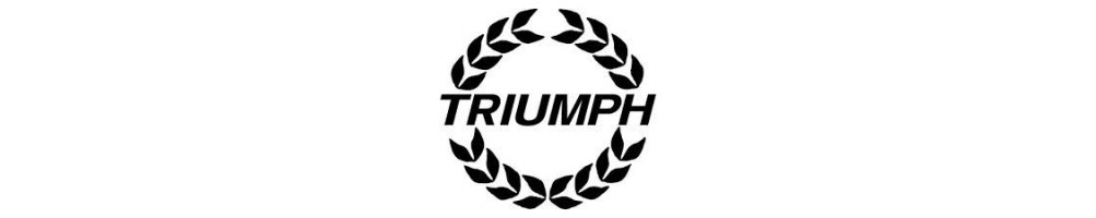 Supports Moteur TRIUMPH renforcé pas cher - Livraison internationale dom tom numéro 1 En france et sur le net !!! 1