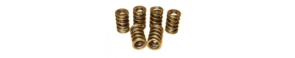 FORD - Reinforced Top Struts and Springs